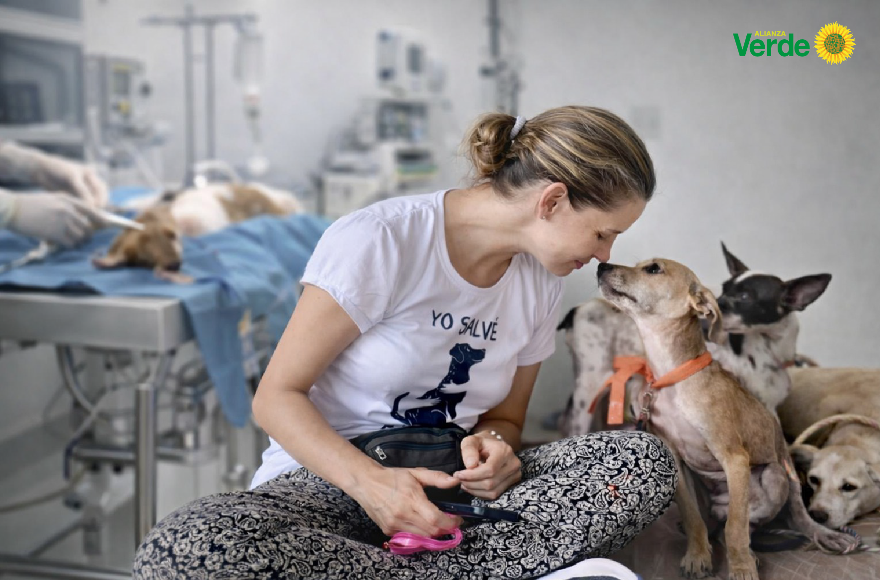 Reglamentada la Ley de Esterilización Animal, paso clave para frenar el abandono y la sobrepoblación