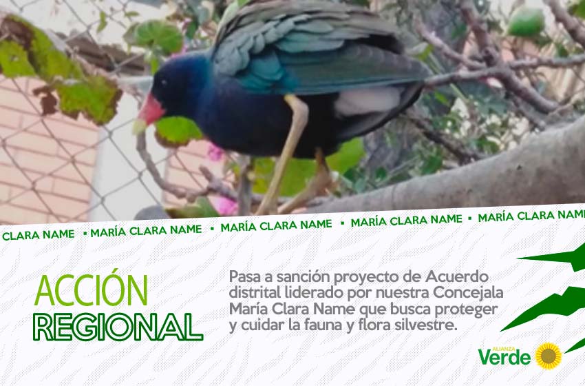 Pasa a sanción Proyecto de Acuerdo Distrital liderado por nuestra Concejala María Clara Name que busca proteger y cuidar la fauna y flora silvestre