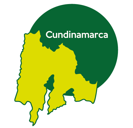 Candidatos Cundinamarca