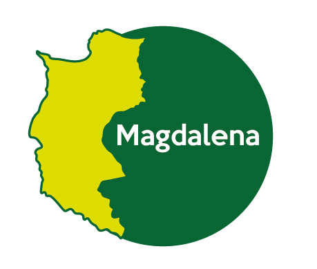 Candidatos Magdalena