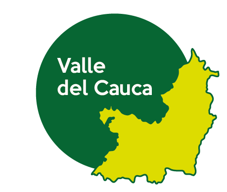 Candidatos Valle del Cauca 