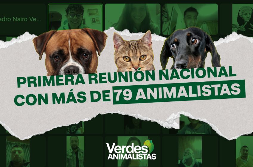 Así se vivió el primer encuentro de Verdes Animalistas